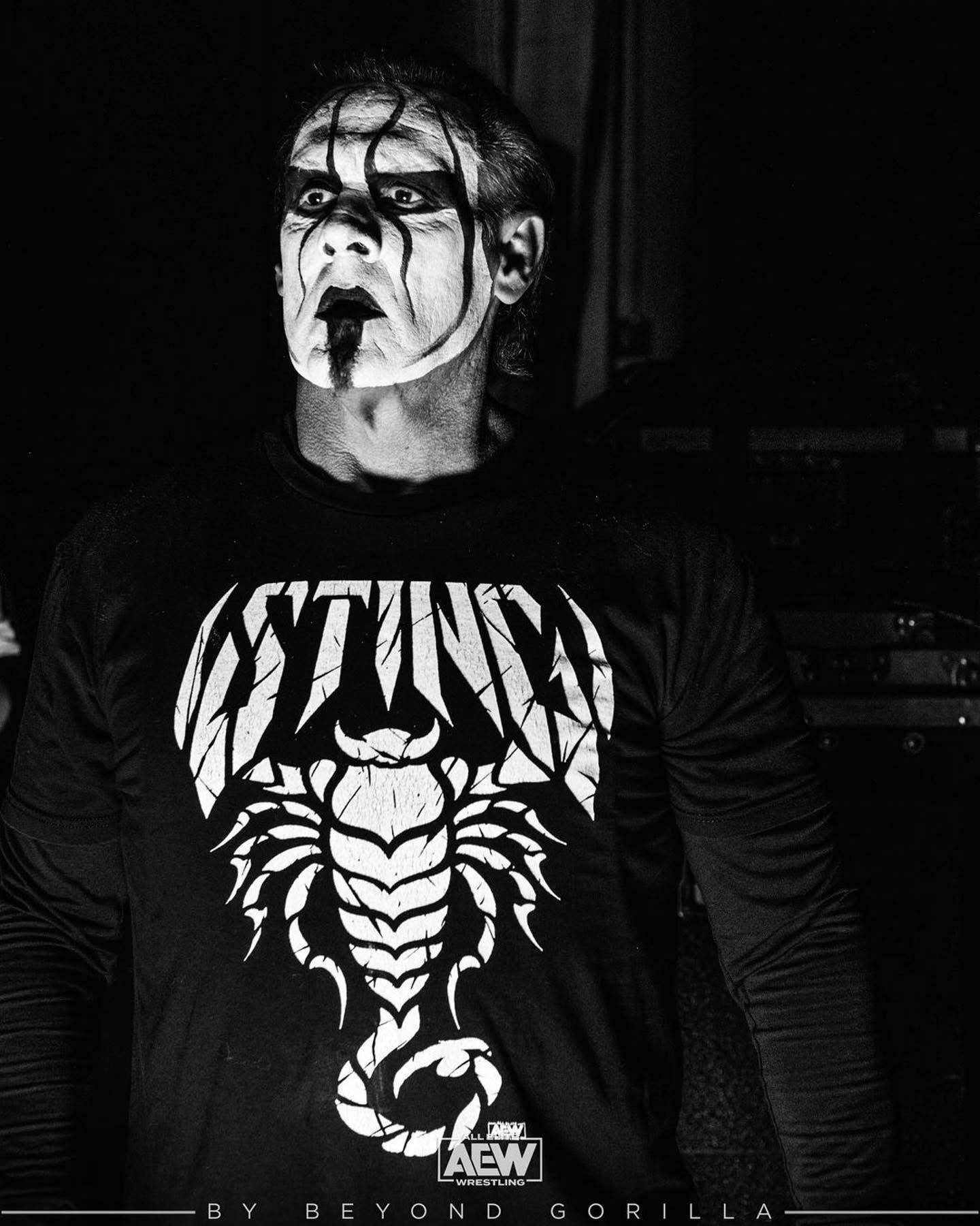 Sting — WWE Hall of Fame